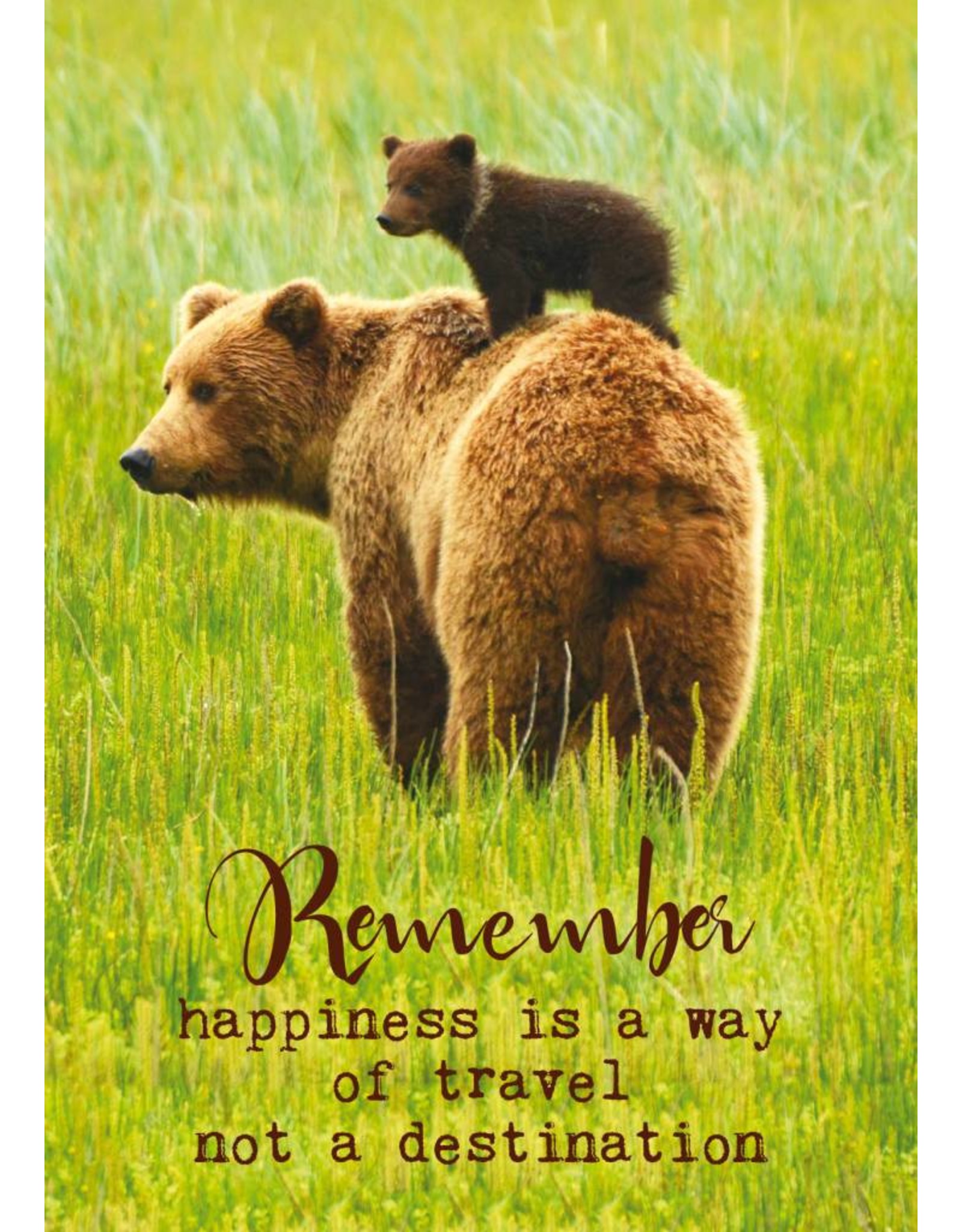 ZintenZ postkaart Remember happiness is a way