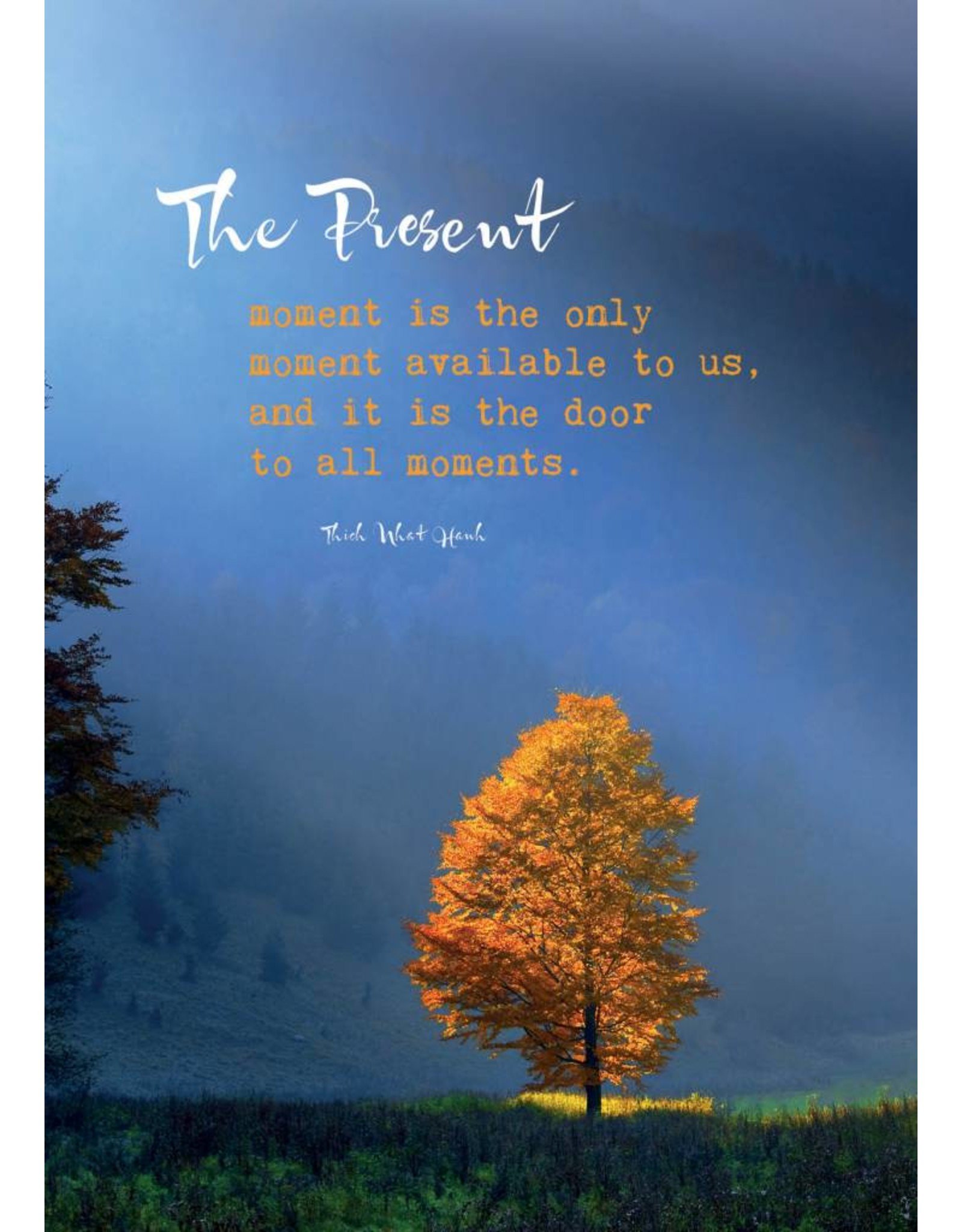 ZintenZ postcard The present moment is the only moment