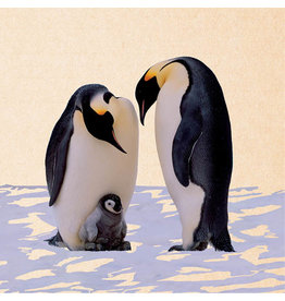 ZintenZ postkaart Pinguins