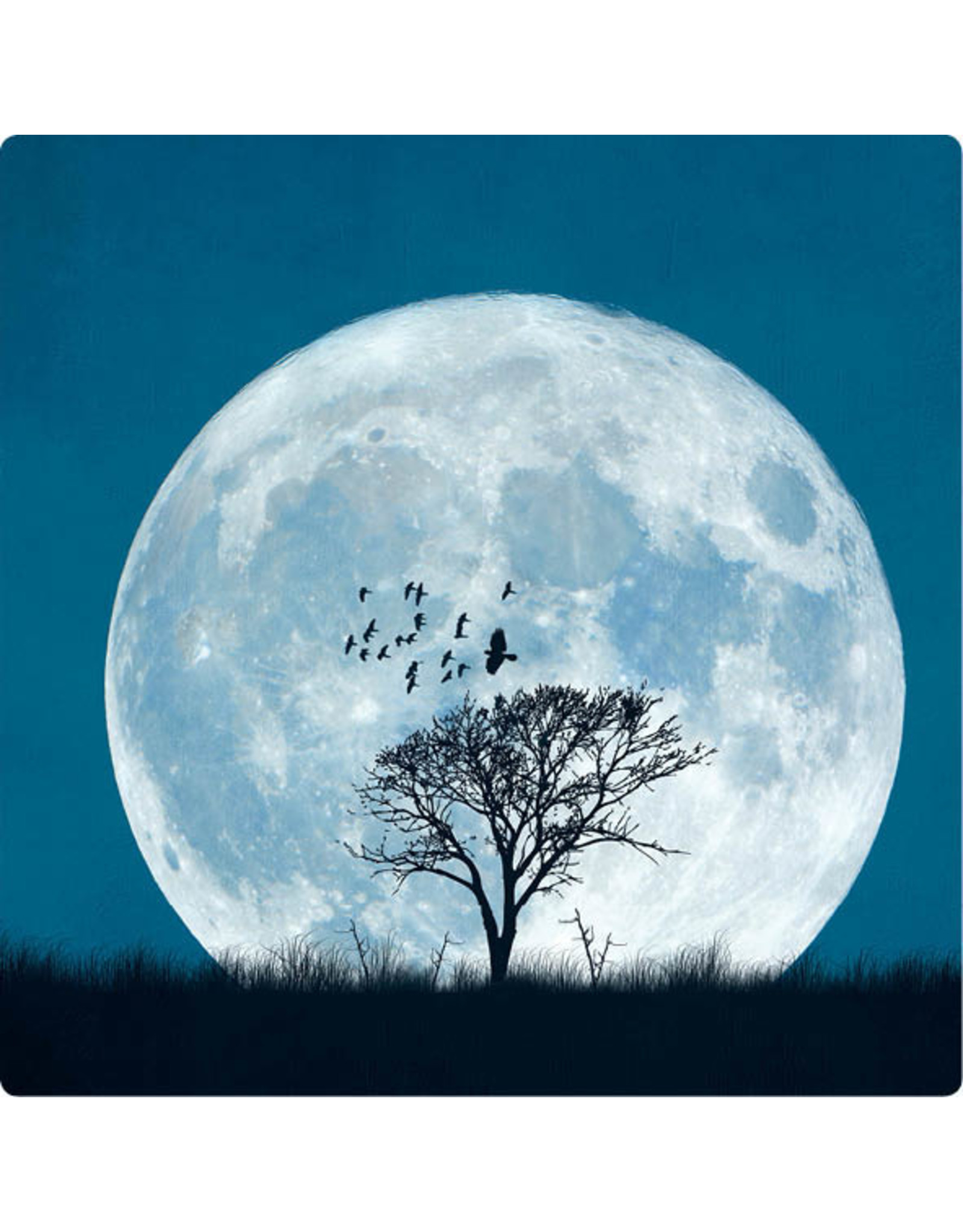 ZintenZ postcard Full moon