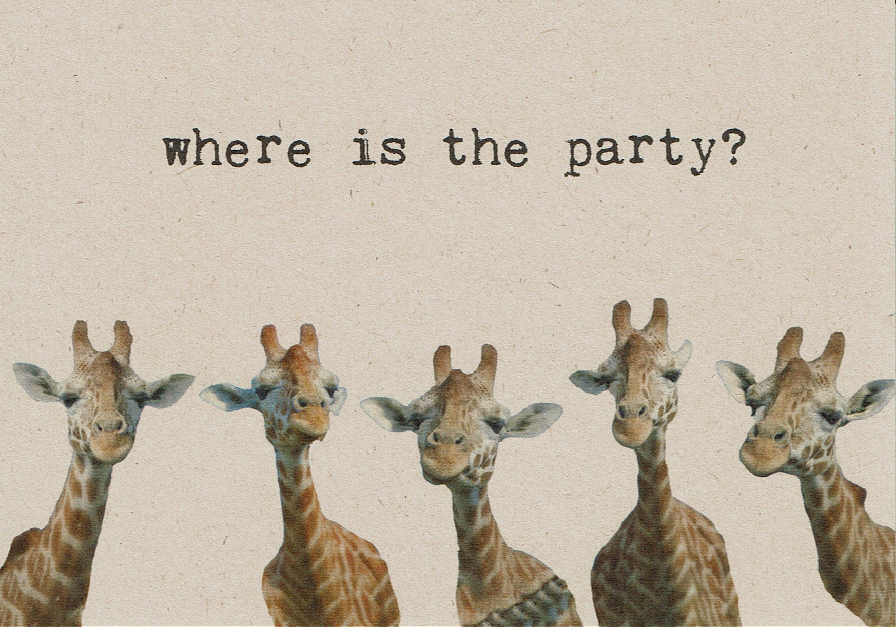 Zintenz Postcard Where Is The Party Things That Make You Feel Good