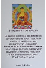 Dakini Tibetan protection amulet Shakyamuni