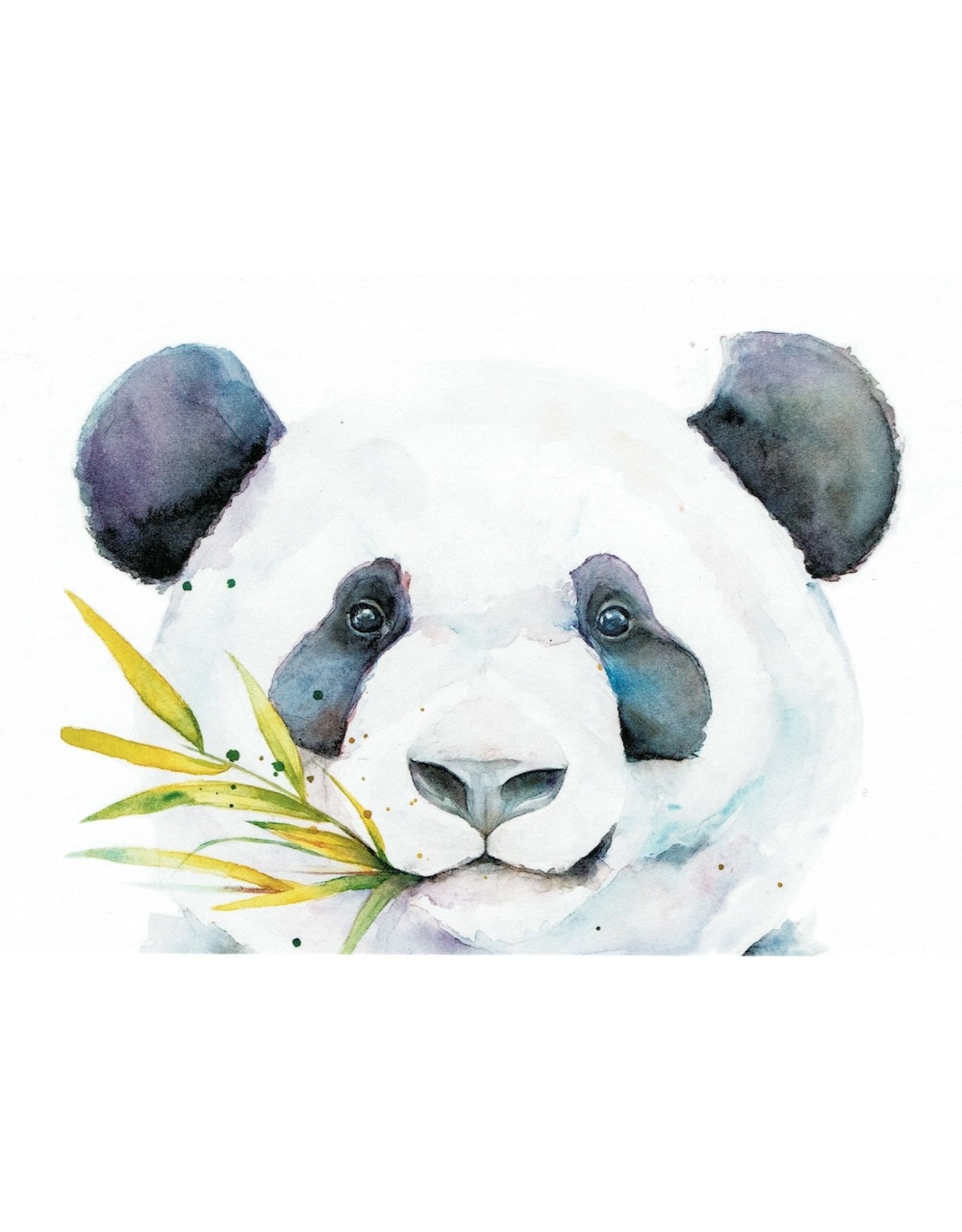 ZintenZ postcard Panda