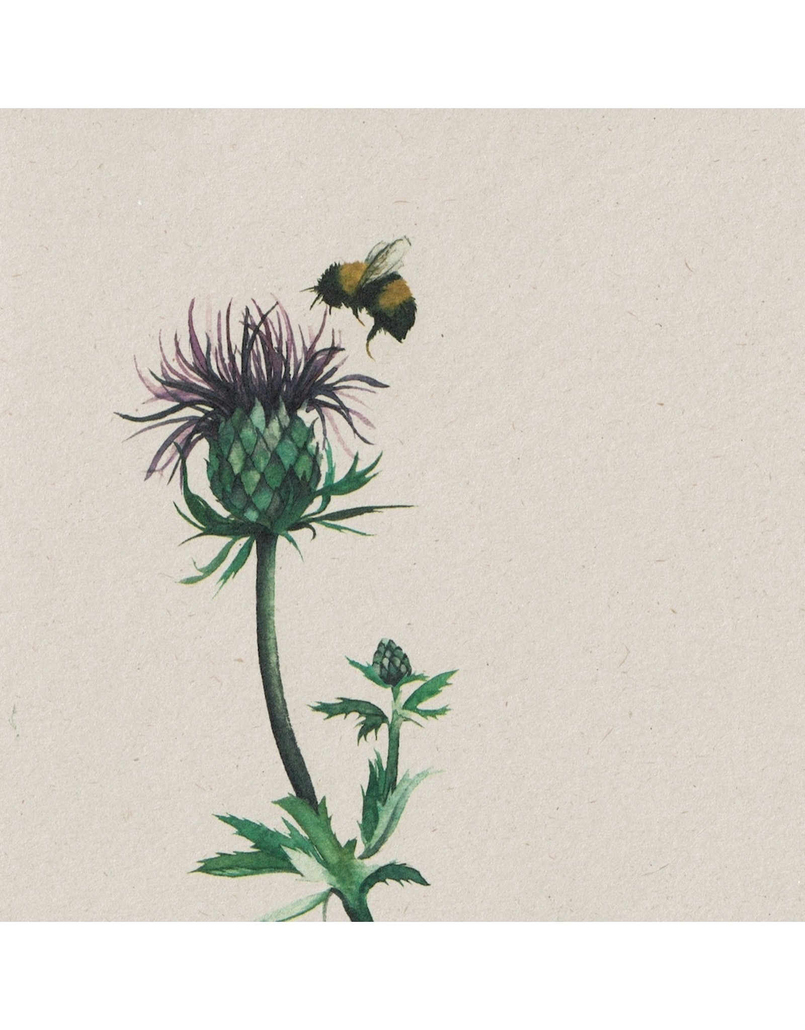 ZintenZ postcard Bee