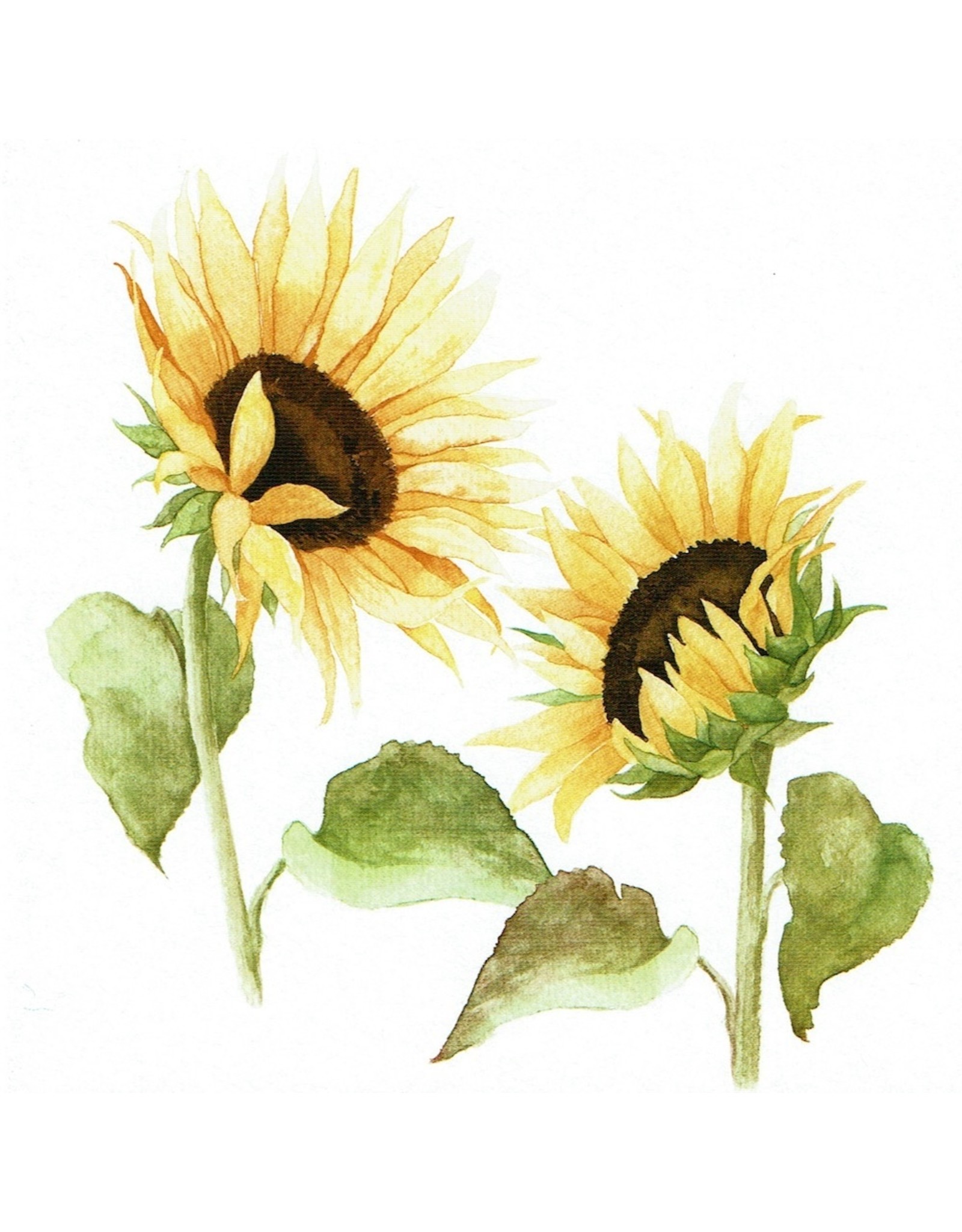 ZintenZ postcard Sunflowers