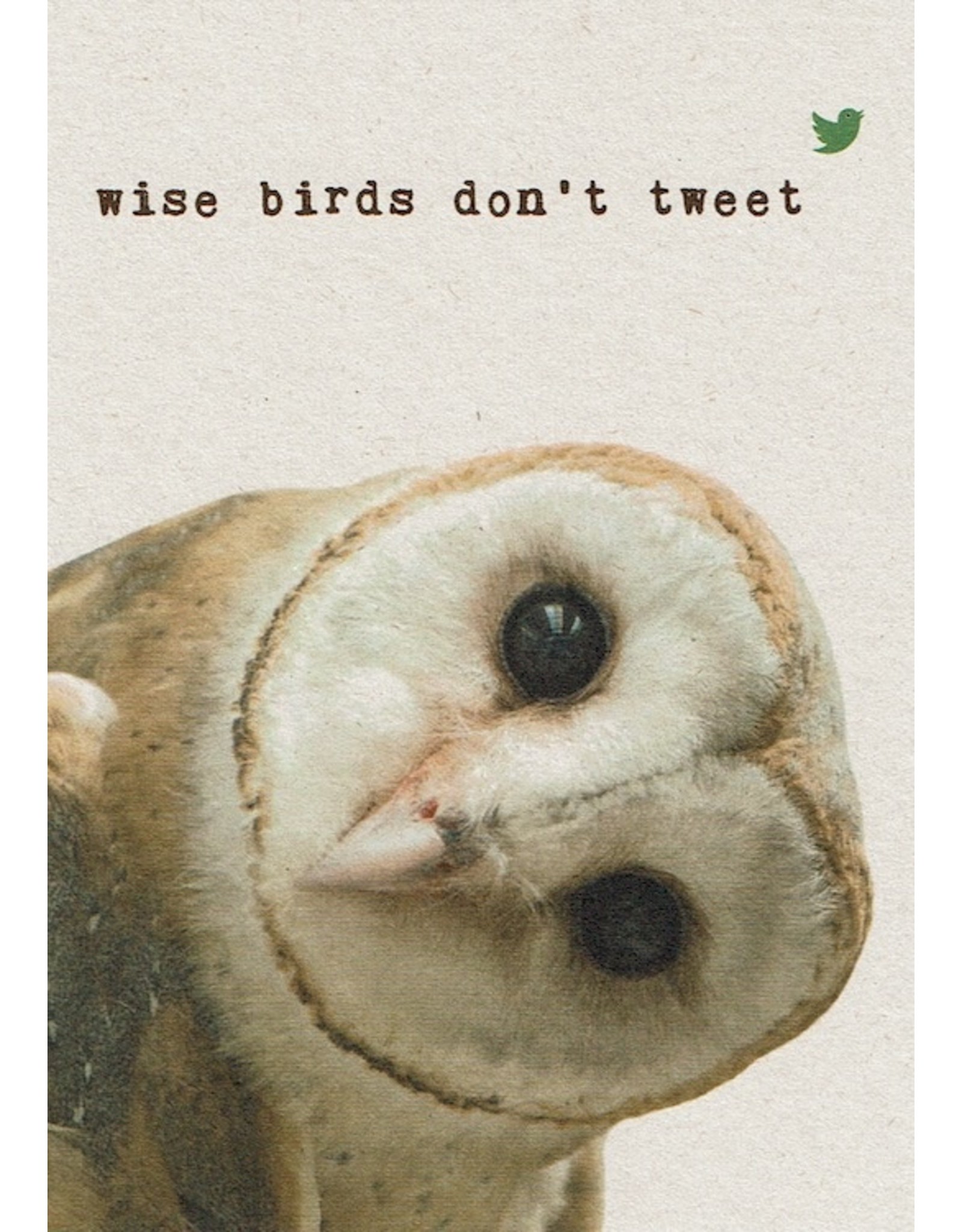 ZintenZ postkaart Wise birds don't tweet