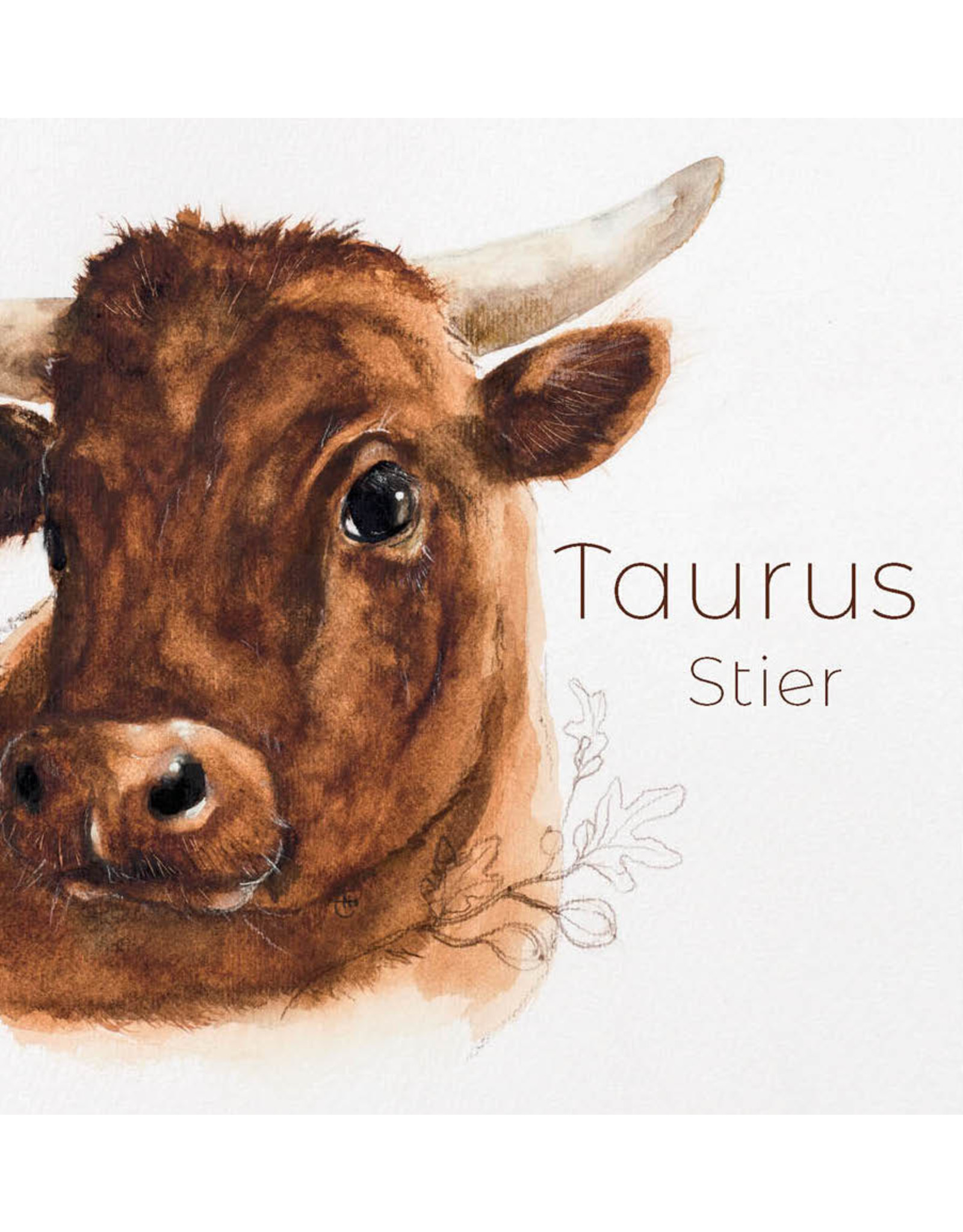 ZintenZ postcard Taurus