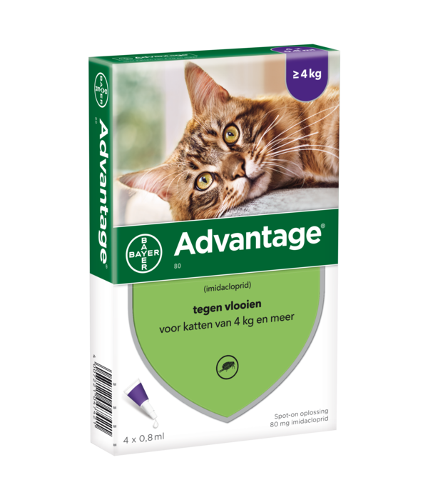 advantage katze spot on behandlung von flohen bei katzen waduku waduku com