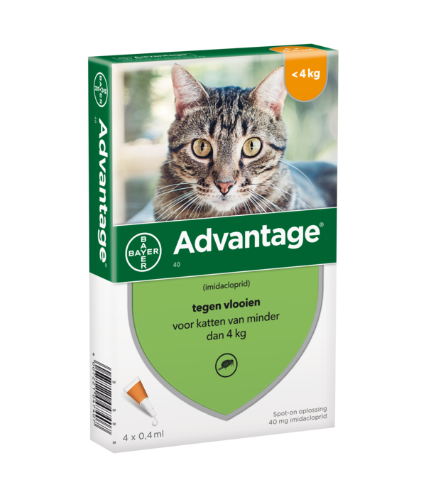 Advantage Katze Spot On Behandlung Von Flöhen Bei Katzen