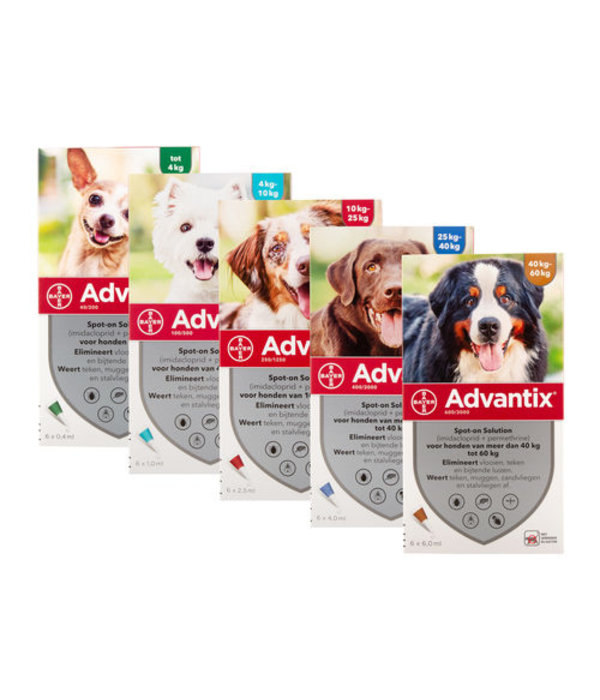 advantix hund spot on gegen flohe zecken und sandfliegen waduku waduku com