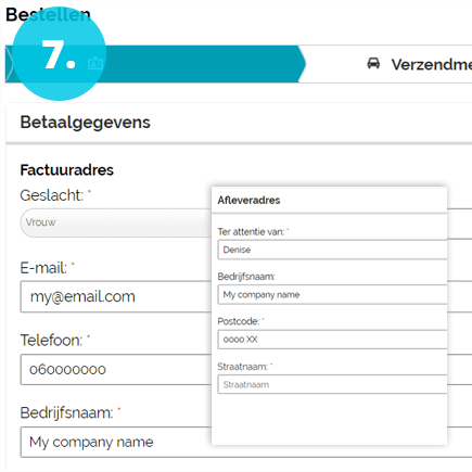 enter invoice data and delivery address