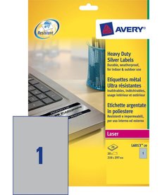 Avery L6013-20