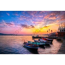 French Harbour Landscape