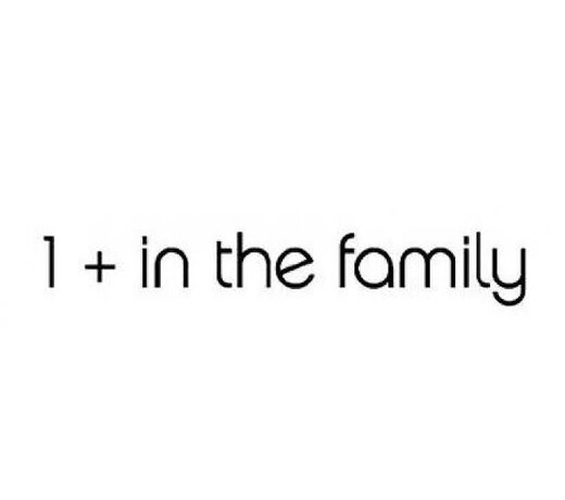 1 + MORE IN THE FAMILY
