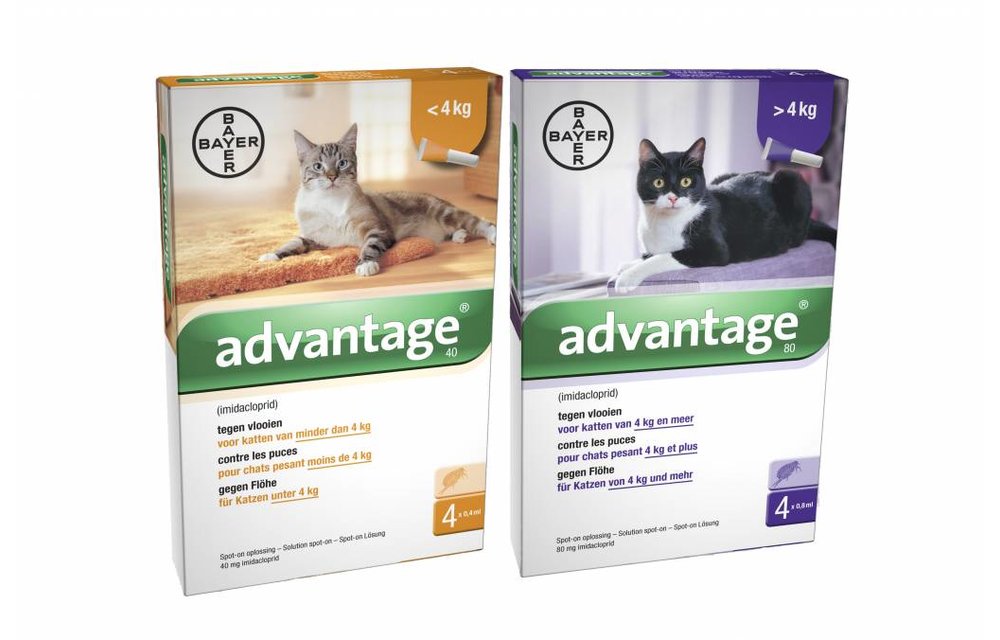 Advantage Katze
