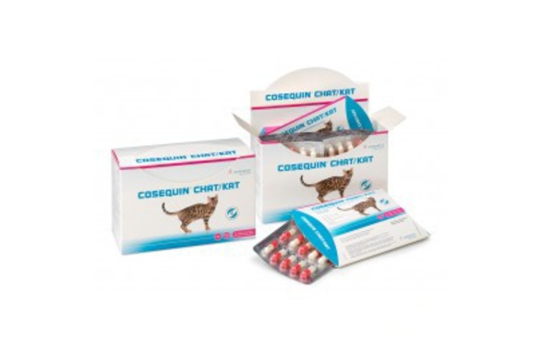Cosequin Katze
