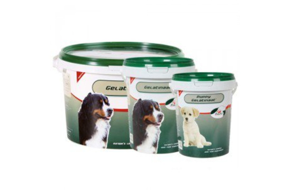 Primeval Gelatinaat