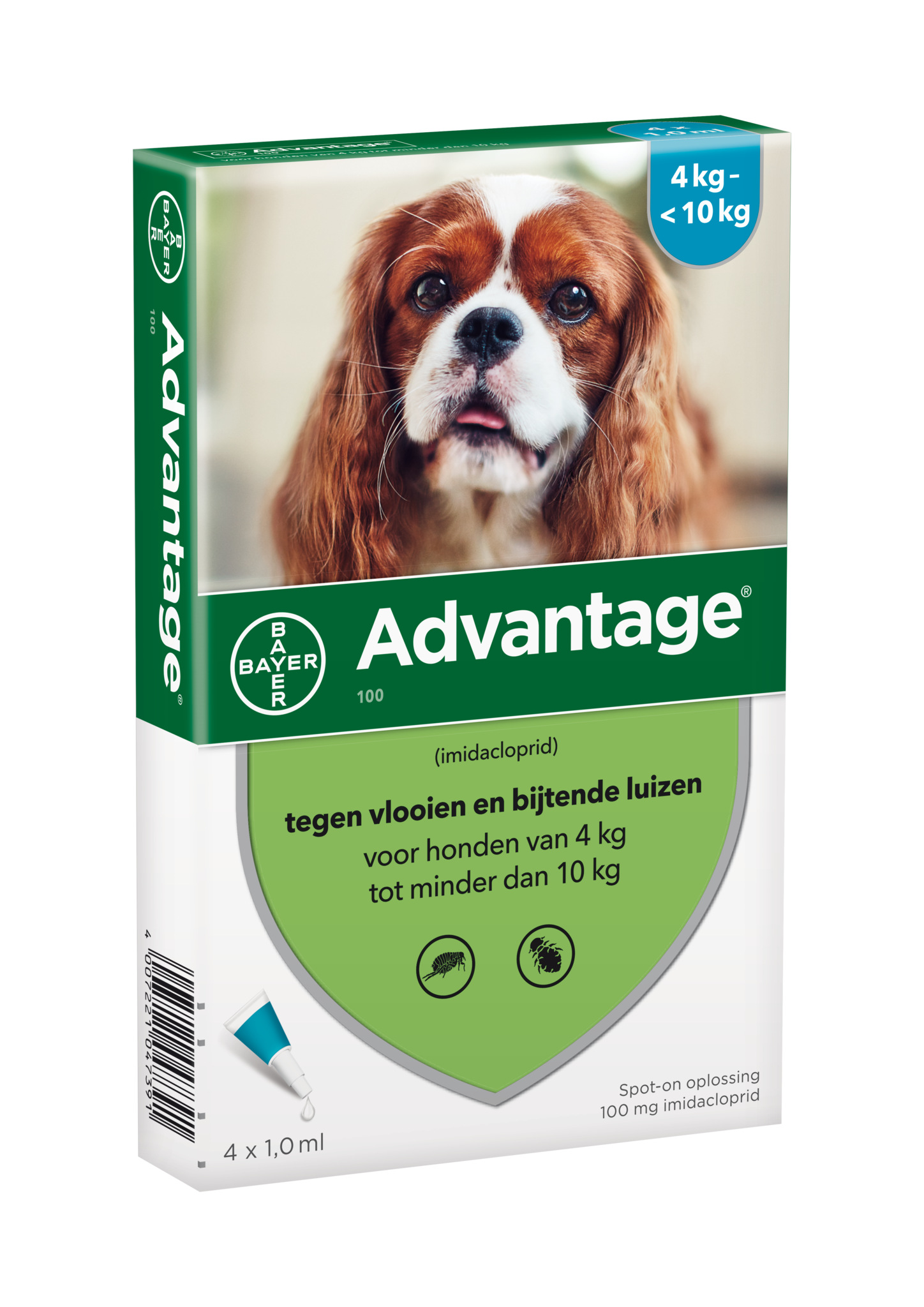 Advantage Hund SpotOn Behandlung von Flöhe bei Hunde Petduka