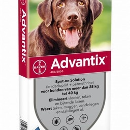 Advantix Hund