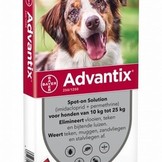 Advantix Hund