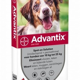 Advantix Hund