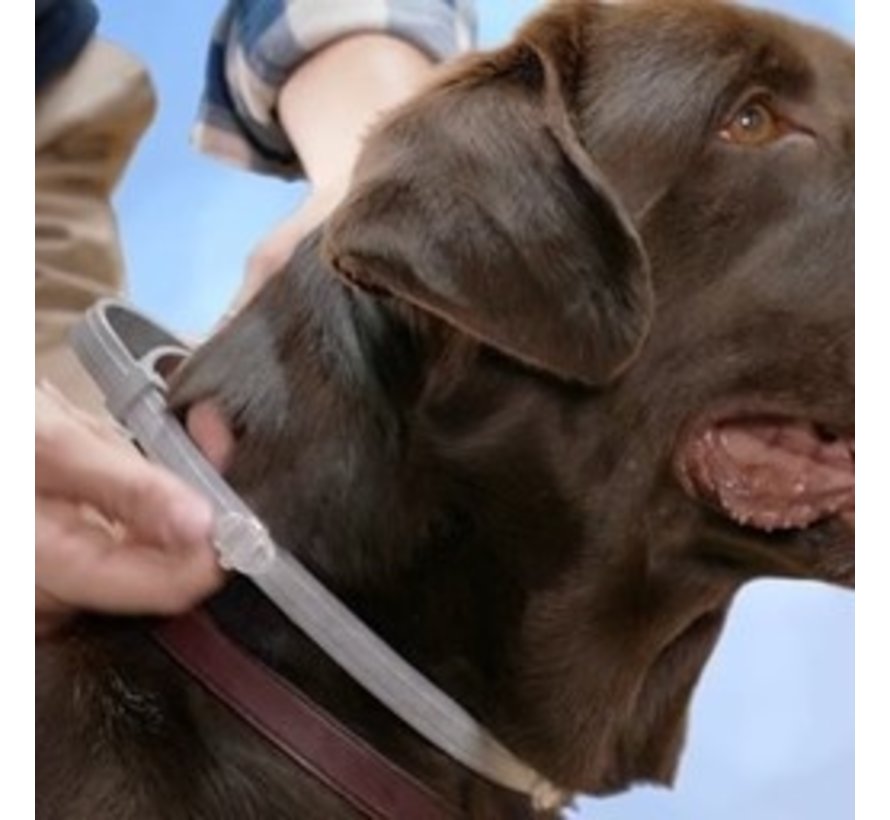 Seresto Collar Hund Floh und Zeckenhalsband für 8 Monate Petduka
