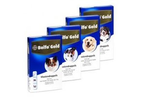 Bolfo Gold Hund