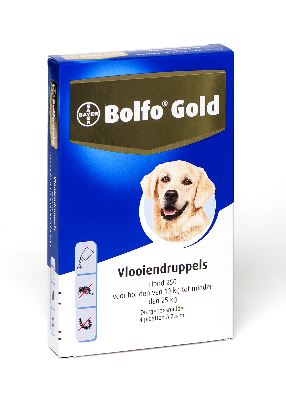 Bolfo Gold Hund