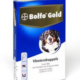 Bolfo Gold Hund