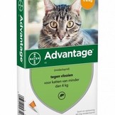 Advantage Katze