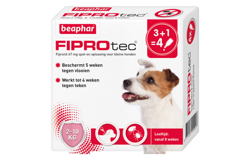 Fiproteq Hund