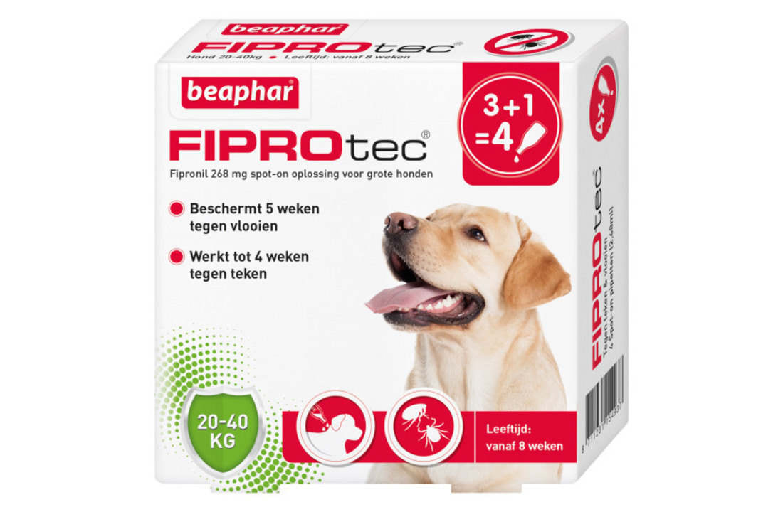 Fiproteq Hund