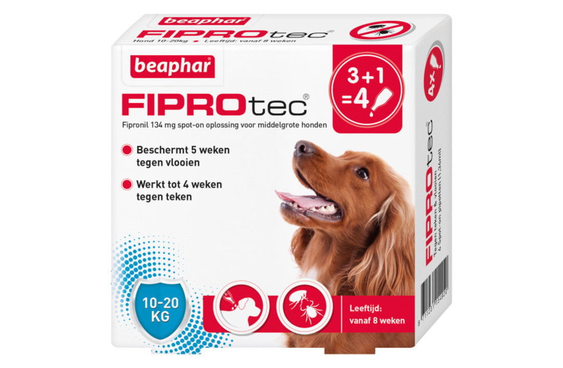 Fiproteq Hund