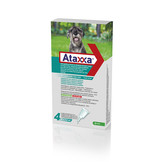 Ataxxa Hund