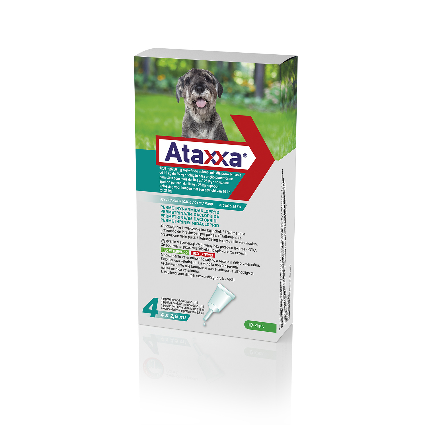 Ataxxa Hund