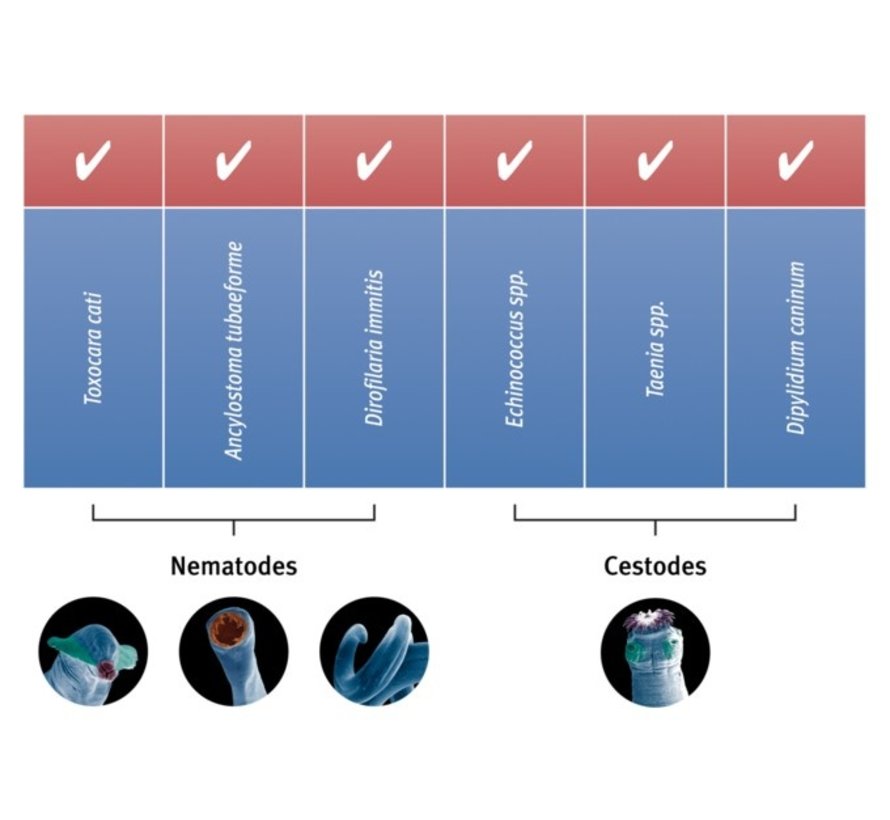 Milbemax Katze Wurmtabletten Schnelleinfach Bestellen
