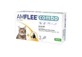Amflee Combo Katze