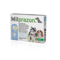 Milprazon Hund