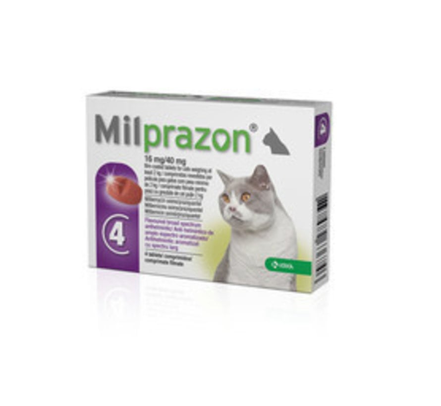 Milprazon Kleine &amp; große Katze Milprazon Wurmkur Katze Kaufen