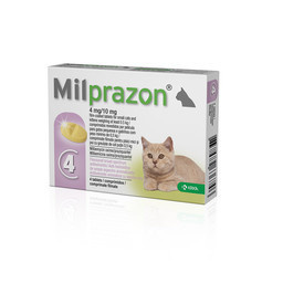 Milprazon Katze