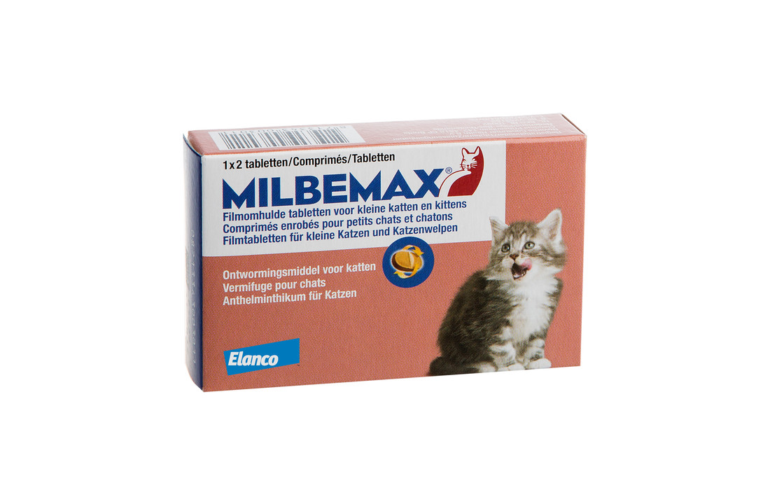 Milbemax Katze