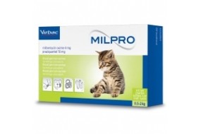 Milpro Katze