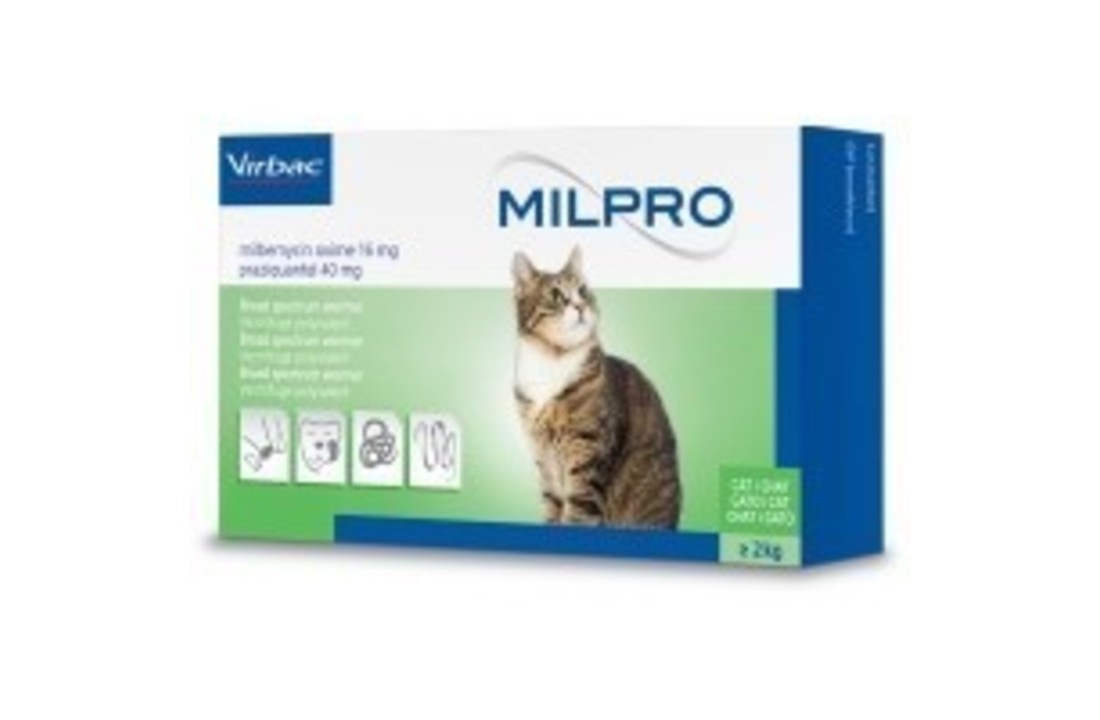 Milpro Katze