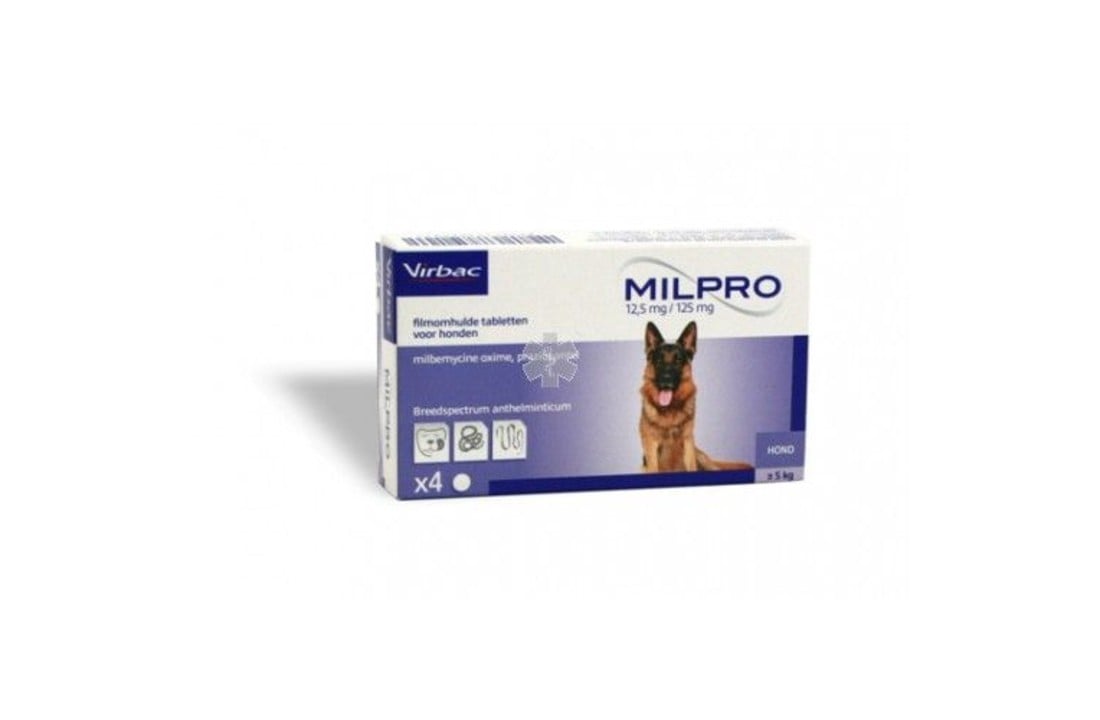 Milpro Hund M Kaufen / Medikamente Fur Hunde Gunstig Kaufen Shop