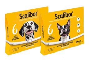 Scalibor Protectorband Hond