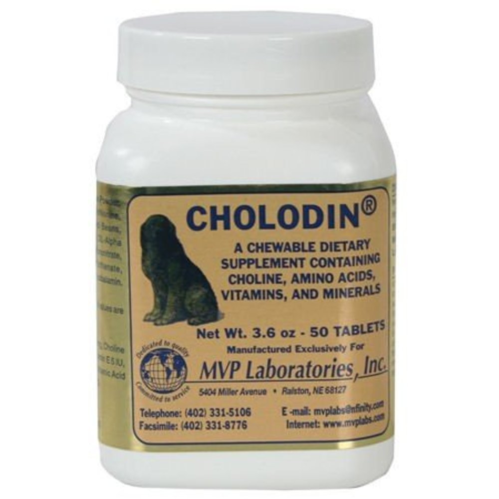 choline for dogs