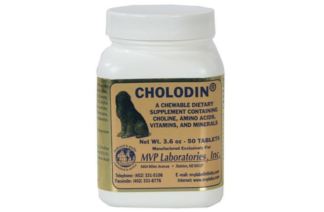 Cholodin Dog