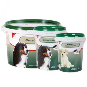 Primeval Gelatinaat Dog