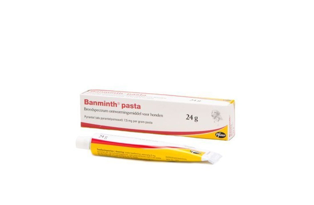 Banminth Paste Dog