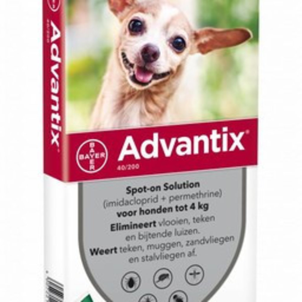 dog licked advantix